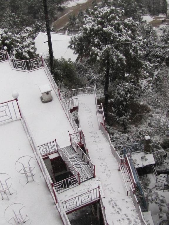Hotel Deodar Villa ダラムシャーラー エクステリア 写真